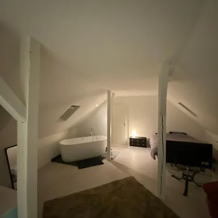 Superbe Duplex Strasbourg Διαμέρισμα *