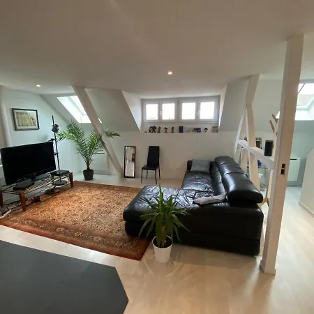 Διαμέρισμα Superbe Duplex Strasbourg