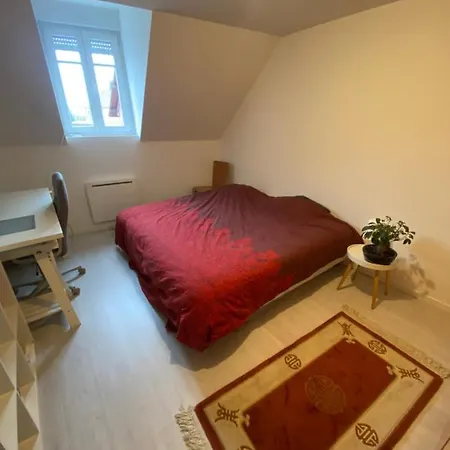 Superbe Duplex Strasbourg * Schiltigheim