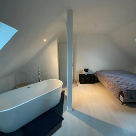 Superbe Duplex Strasbourg Schiltigheim