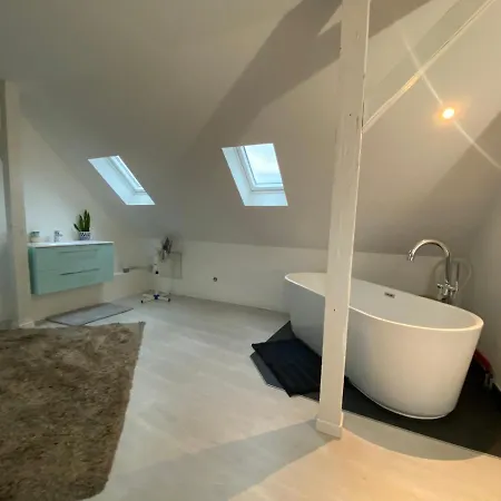 Superbe Duplex Strasbourg Διαμέρισμα